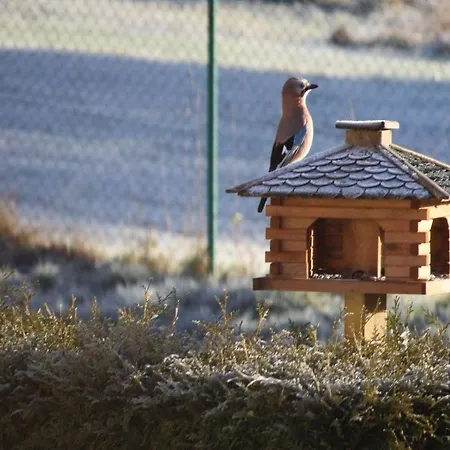 Rothirsch Lejlighed *