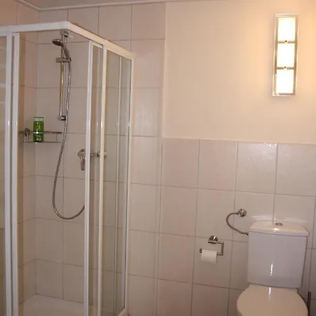Rothirsch * Bad Sachsa
