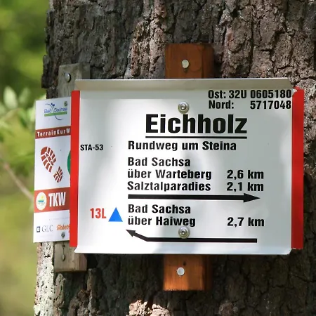 Rothirsch *