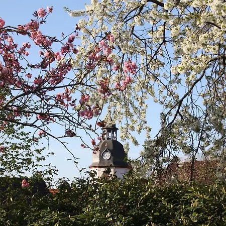 Rothirsch Lejlighed *