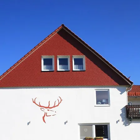 Rothirsch *