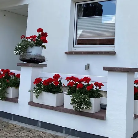 Apartment Rothirsch